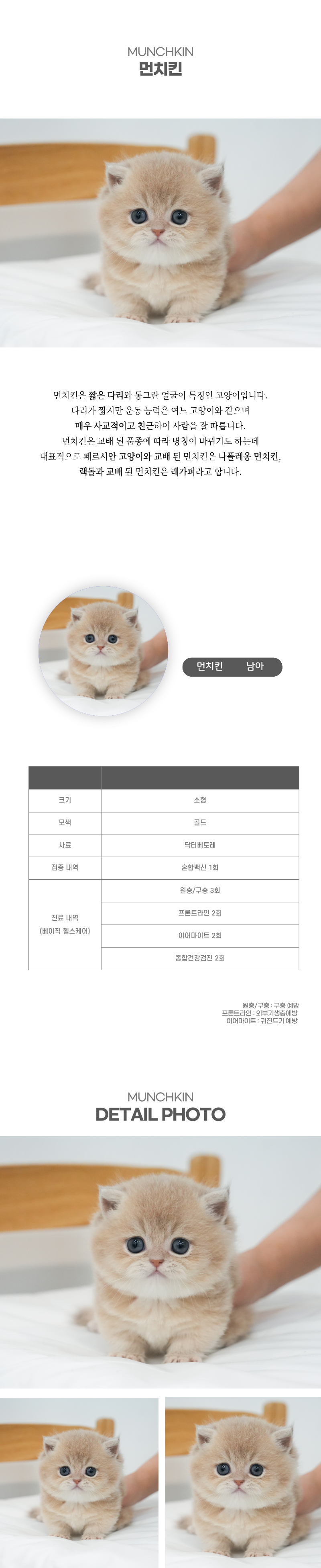 먼치킨_상세이미지_2